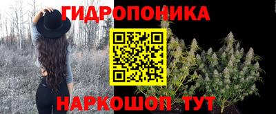 гидропоника Ирбит